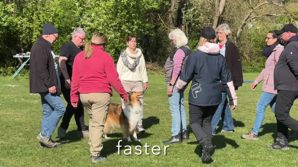 Ankörung Lexie vom Seehain 12. April 2025
